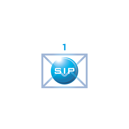 PACK SIP 1 EXT 1 extension SIP sup uniquement + 7 packs ci-dessus